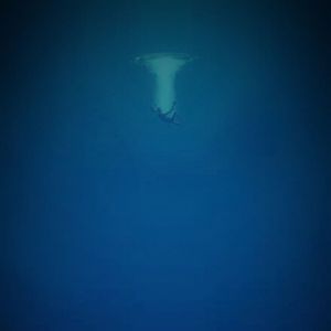 溺水(Prod by.Ljx Ghost)