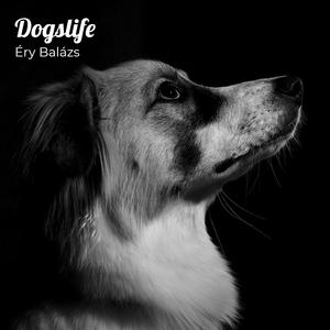 Dogslife