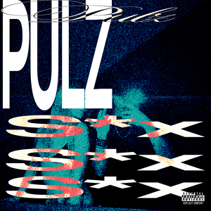 PULZ (S*X REMIX)