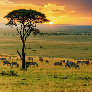 Travel To Africa