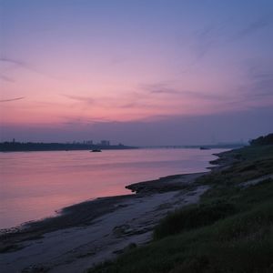 春露润芳菲