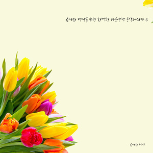 마음이 편안해지는 음악