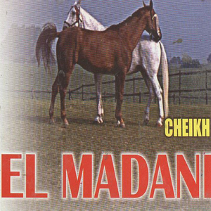 Liha nraouhou ya aoudi