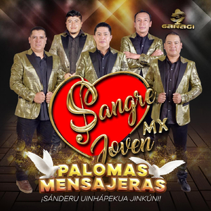 No Patakuarhesti Ch Piri