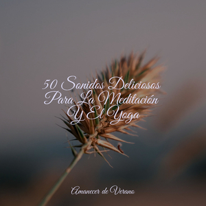 Cascada de Hielo Silenciosa