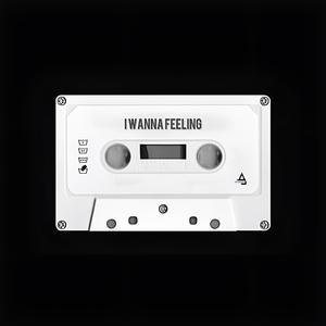 I Wanna Feeling (feat. Andreíos & Seumas.)