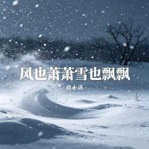 风也萧萧雪也飘飘