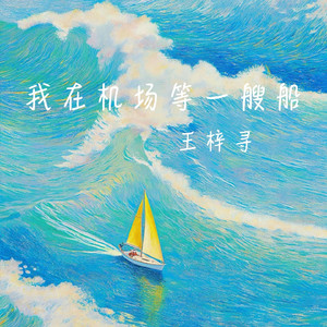 我在机场等一艘船