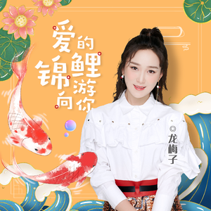 爱的锦鲤游向你 (DJ何鹏版)