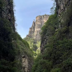 风露行