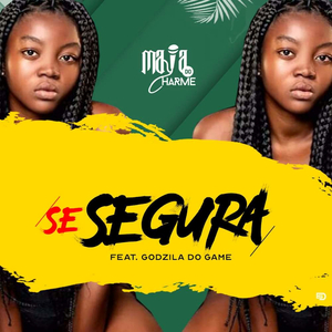 Se Segura