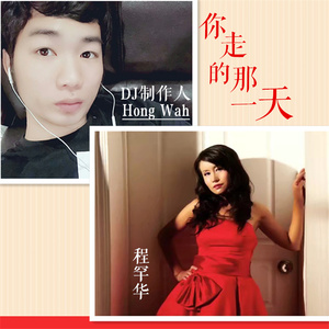 你走的那一天 (DJ版伴奏)