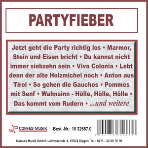 Fahrende Musikanten (Re-Recording)