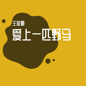 爱上一匹野马