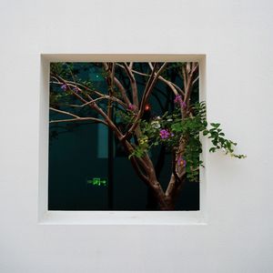 你的睫毛（Prod by Lemon MAX）