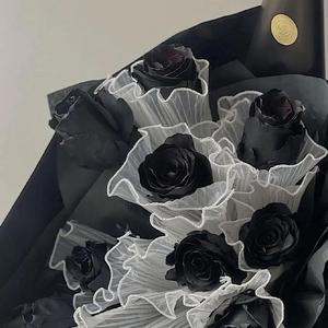 小星星汪苏泷（女声版)