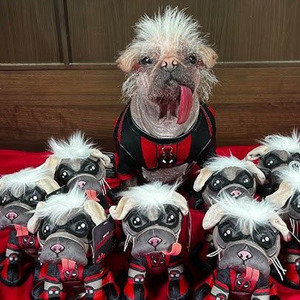 Multiple Flows (slowed)