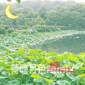 凤凰传奇-荷塘月色（翻自 凤凰传奇）（Wh1zz_ remix）