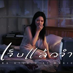 เจ็บแล้วจำ