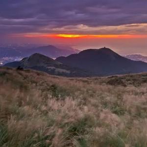 今生只为遇见你DJ