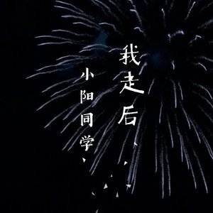 我走后
