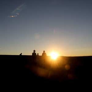 当把一切都交给夏天（Dusk and Poem）