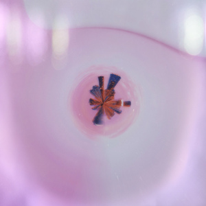 봄으로 데려다 줘