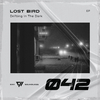 Lost Bird - Drifting In The Dark
