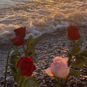 爱被雨幕遮蔽(prod.by Lisure)