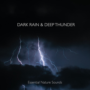 Rain & Distant Thunder