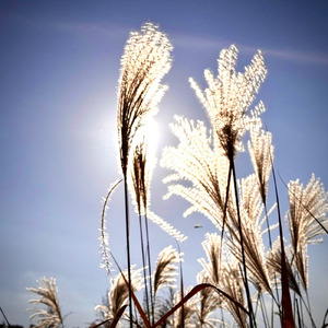 他の誰でもなく君