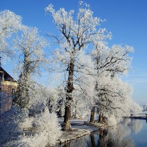 我的爱对你说 (15)