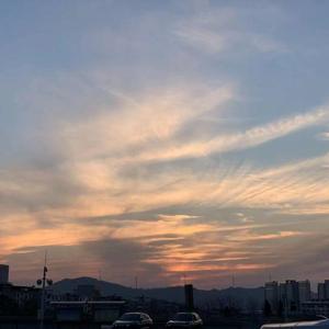 陌上人如玉