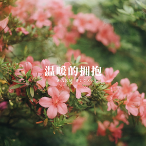 快乐的早晨 (孕期胎教)