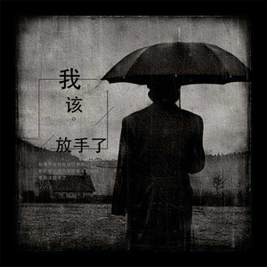 我该放手了 (伴奏)