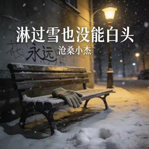 淋过雪也没能白头(广场舞DJ版)