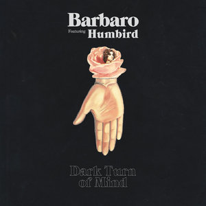 Dark Turn of Mind (feat. Humbird)
