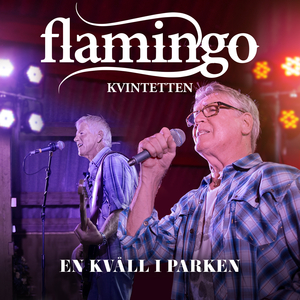 Hjärtat Har Sina Skäl