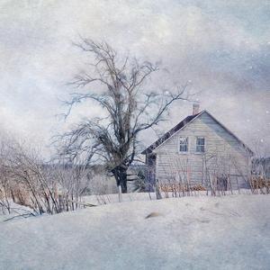 冬眠_一蓑烟雨任平生(3)（翻自 司南）