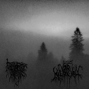 Beyond the Cursed Swamp