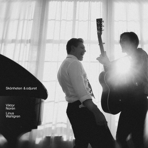 Skönheten och odjuret