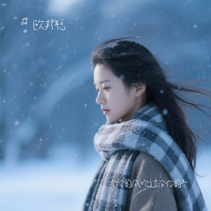 冷冷的风吹过没你的冬