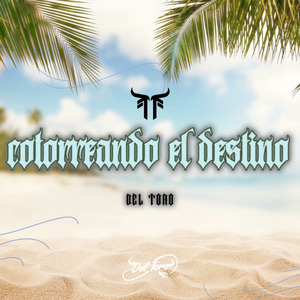 Cotorreando el Destino