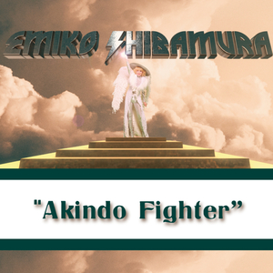 Akindo Fighter