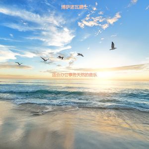 正在学习庄严的轻音乐