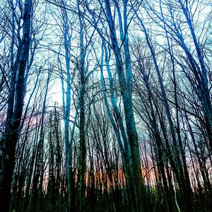 Feelings Of Deception