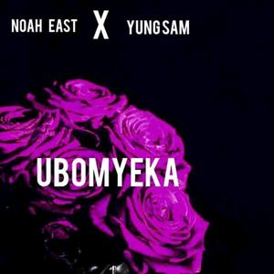Ubomyeka (feat. Yung Sam)