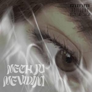 Nech Ju Nevidím (feat. emil)