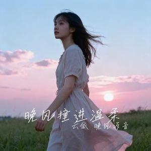 晚风撞进温柔