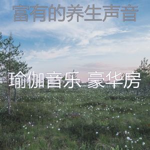 一尘不染正念印象数